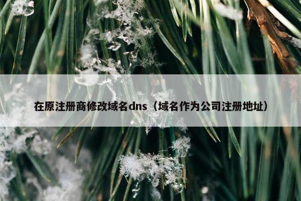 在原注册商修改域名dns（域名作为公司注册地址）