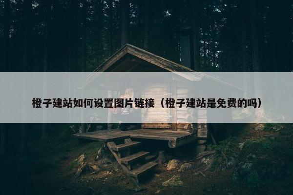橙子建站如何设置图片链接（橙子建站是免费的吗）