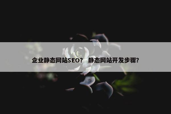 企业静态网站SEO？ 静态网站开发步骤？