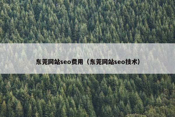东莞网站seo费用（东莞网站seo技术）