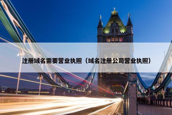 注册域名需要营业执照（域名注册公司营业执照）