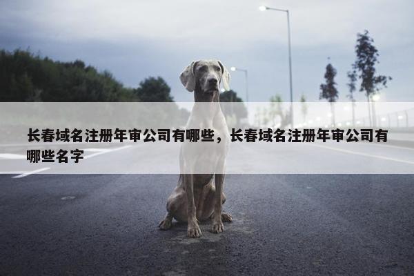 长春域名注册年审公司有哪些，长春域名注册年审公司有哪些名字