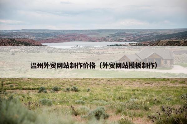 温州外贸网站制作价格（外贸网站模板制作）