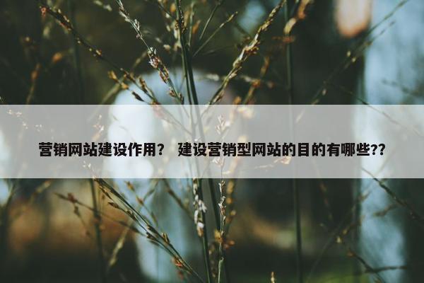 营销网站建设作用？ 建设营销型网站的目的有哪些?？