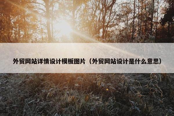 外贸网站详情设计模板图片（外贸网站设计是什么意思）