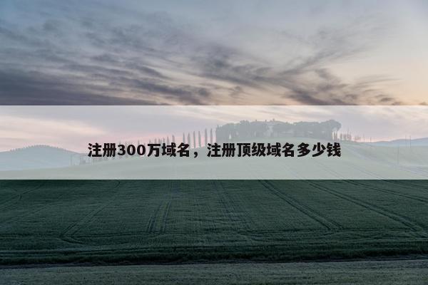 注册300万域名，注册顶级域名多少钱
