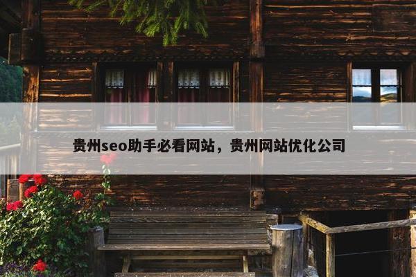 贵州seo助手必看网站，贵州网站优化公司