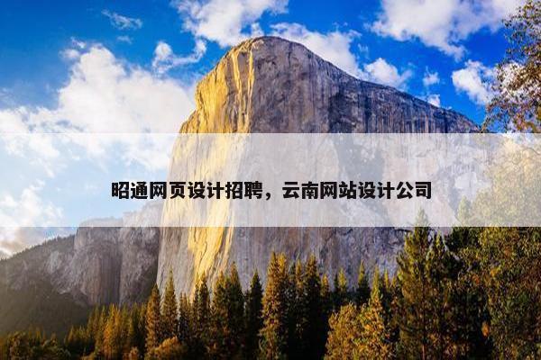 昭通网页设计招聘，云南网站设计公司