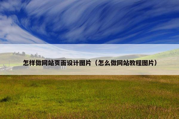 怎样做网站页面设计图片（怎么做网站教程图片）