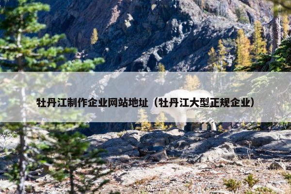 牡丹江制作企业网站地址（牡丹江大型正规企业）