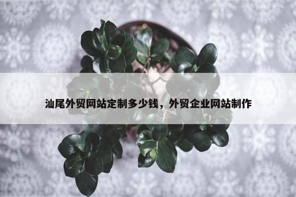 汕尾外贸网站定制多少钱，外贸企业网站制作