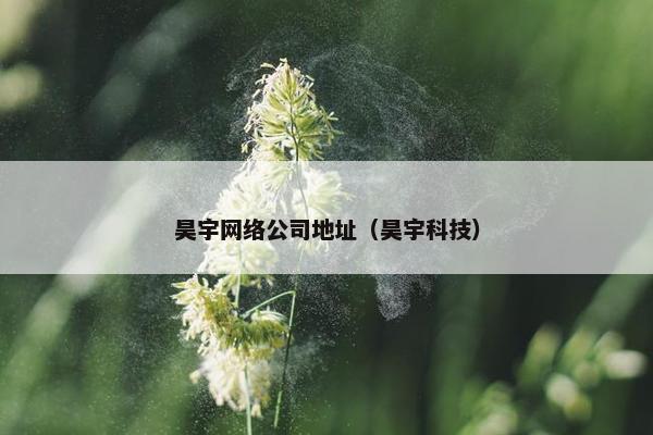 昊宇网络公司地址（昊宇科技）