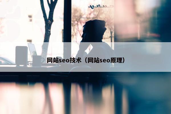 网站seo技术（网站seo原理）
