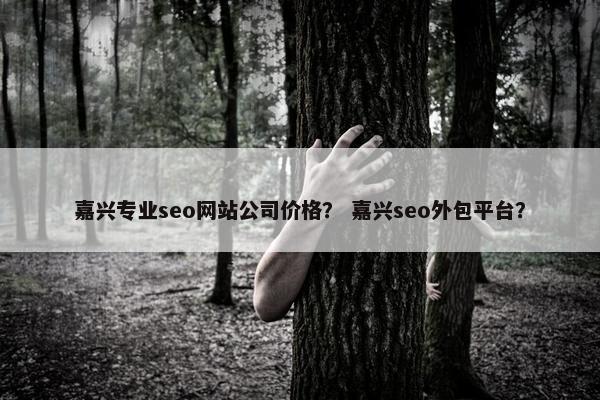 嘉兴专业seo网站公司价格？ 嘉兴seo外包平台？