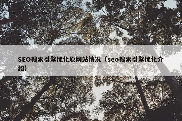 SEO搜索引擎优化原网站情况（seo搜索引擎优化介绍）