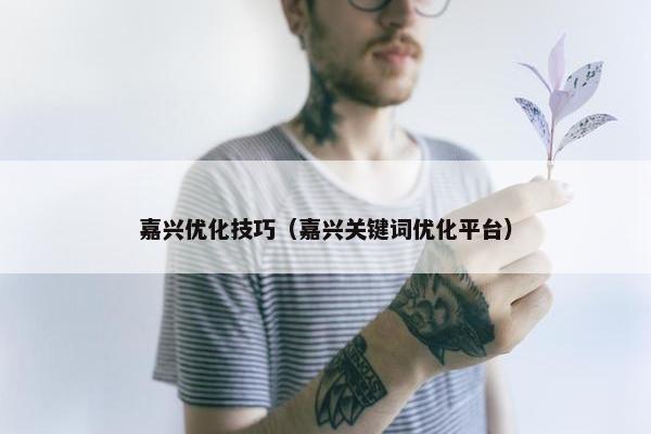 嘉兴优化技巧（嘉兴关键词优化平台）