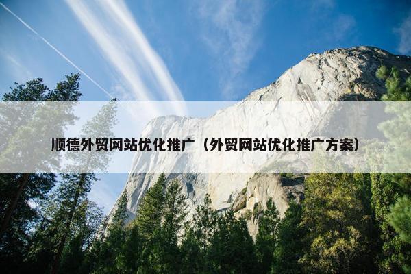 顺德外贸网站优化推广（外贸网站优化推广方案）