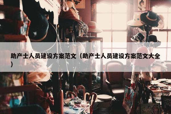 助产士人员建设方案范文（助产士人员建设方案范文大全）