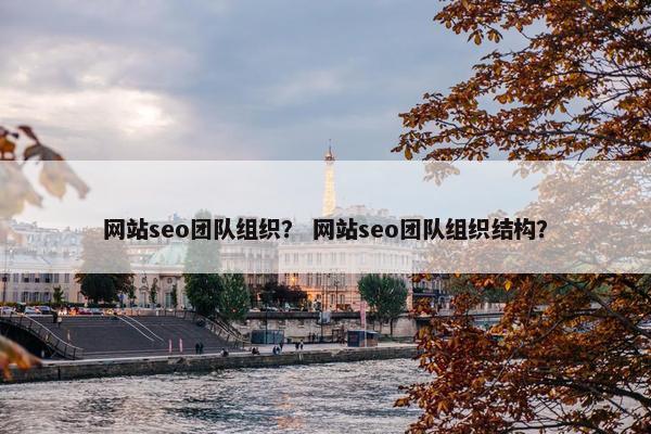 网站seo团队组织？ 网站seo团队组织结构？