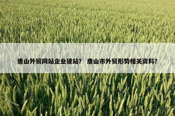 唐山外贸网站企业建站？ 唐山市外贸形势相关资料？