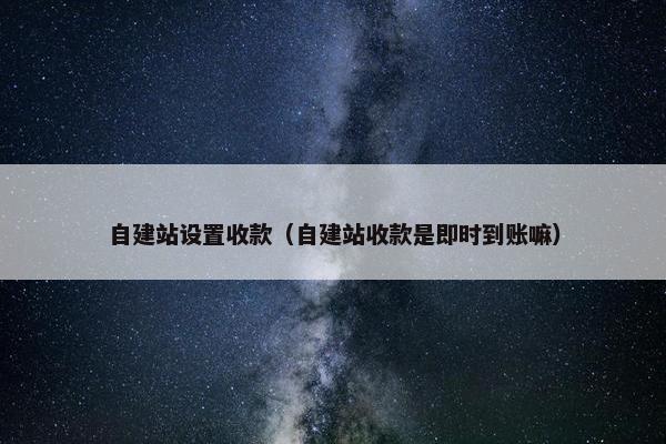 自建站设置收款（自建站收款是即时到账嘛）