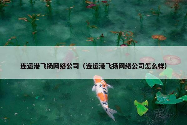 连运港飞扬网络公司（连运港飞扬网络公司怎么样）