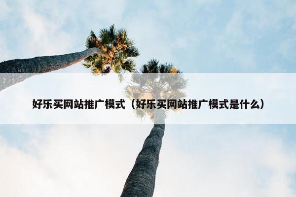 好乐买网站推广模式（好乐买网站推广模式是什么）