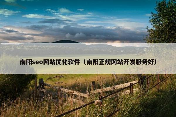 南阳seo网站优化软件（南阳正规网站开发服务好）