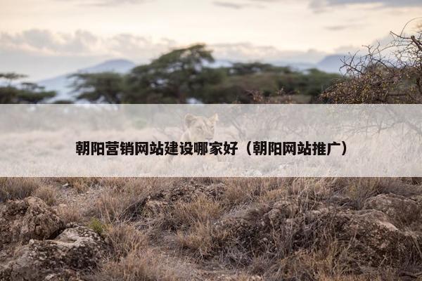 朝阳营销网站建设哪家好（朝阳网站推广）