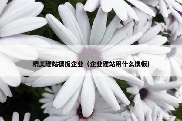 精美建站模板企业（企业建站用什么模板）