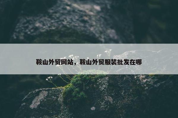 鞍山外贸网站，鞍山外贸服装批发在哪