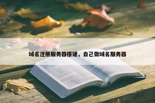 域名注册服务器搭建，自己做域名服务器