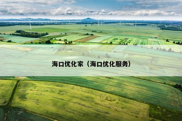 海口优化家（海口优化服务）