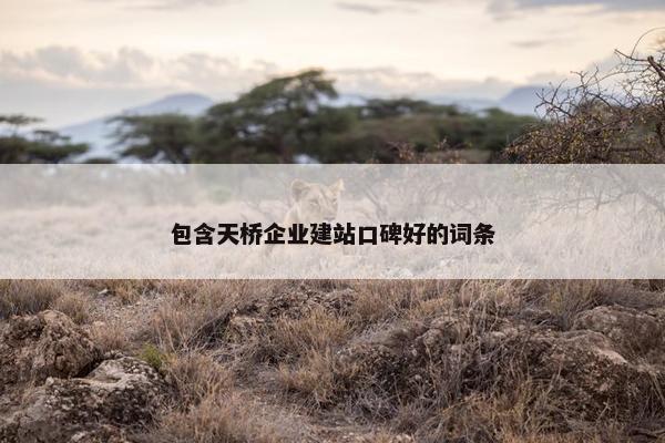 包含天桥企业建站口碑好的词条