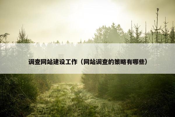 调查网站建设工作（网站调查的策略有哪些）