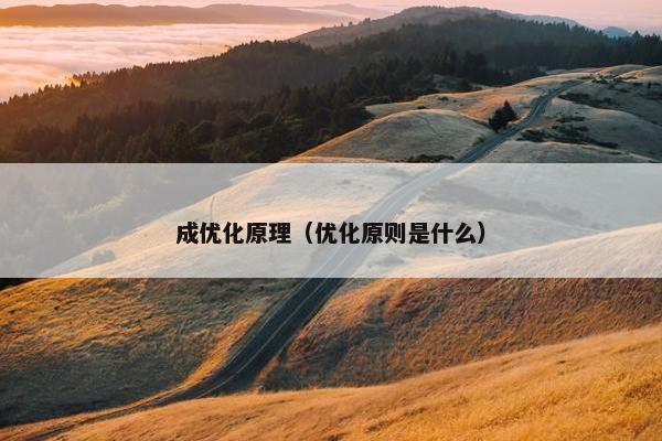 成优化原理（优化原则是什么）