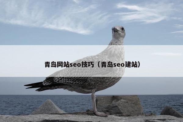 青岛网站seo技巧（青岛seo建站）