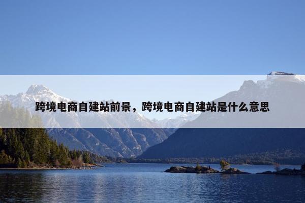跨境电商自建站前景，跨境电商自建站是什么意思