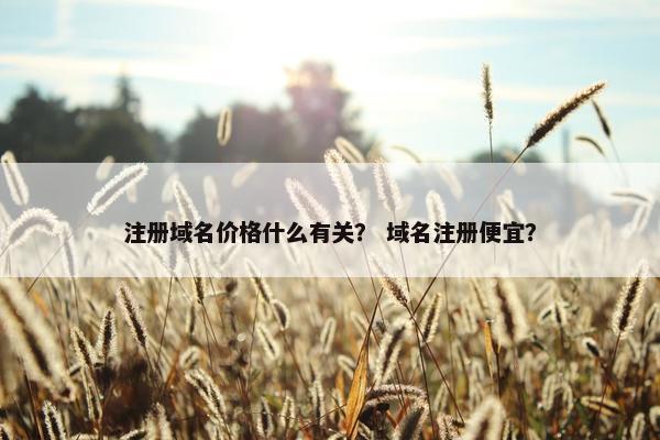 注册域名价格什么有关？ 域名注册便宜？