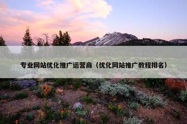 专业网站优化推广运营商（优化网站推广教程排名）