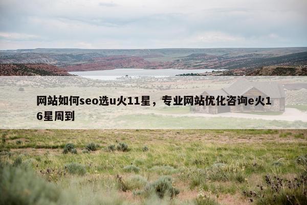 网站如何seo选u火11星，专业网站优化咨询e火16星周到