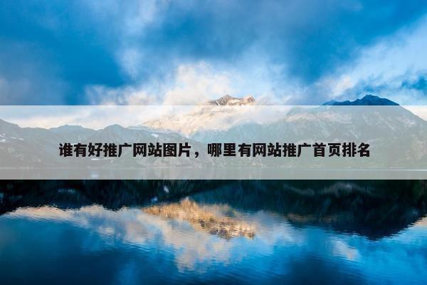 谁有好推广网站图片，哪里有网站推广首页排名