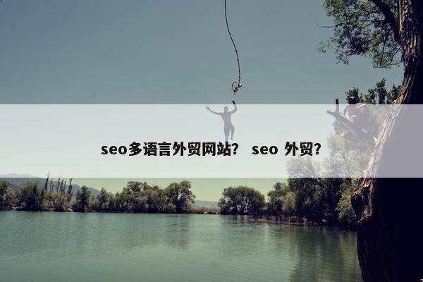 seo多语言外贸网站？ seo 外贸？