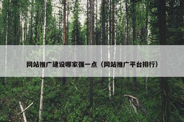 网站推广建设哪家强一点（网站推广平台排行）