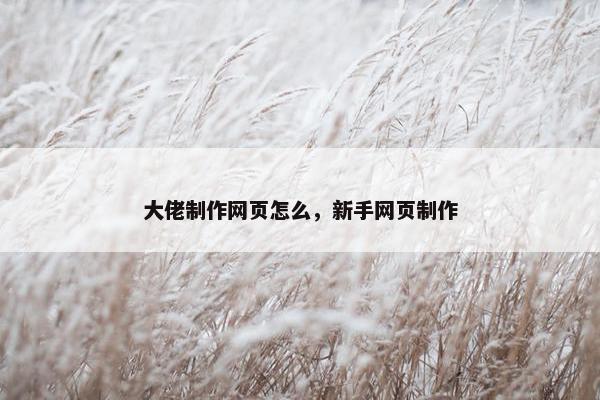 大佬制作网页怎么，新手网页制作