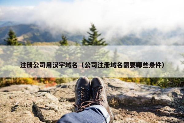 注册公司用汉字域名（公司注册域名需要哪些条件）