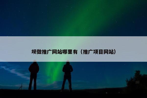 坝做推广网站哪里有（推广项目网站）