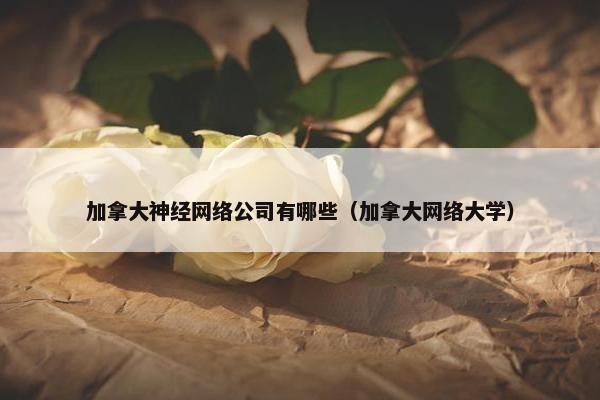 加拿大神经网络公司有哪些（加拿大网络大学）