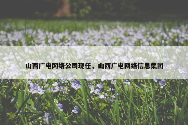 山西广电网络公司现任，山西广电网络信息集团
