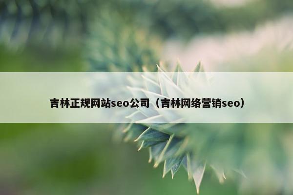 吉林正规网站seo公司（吉林网络营销seo）